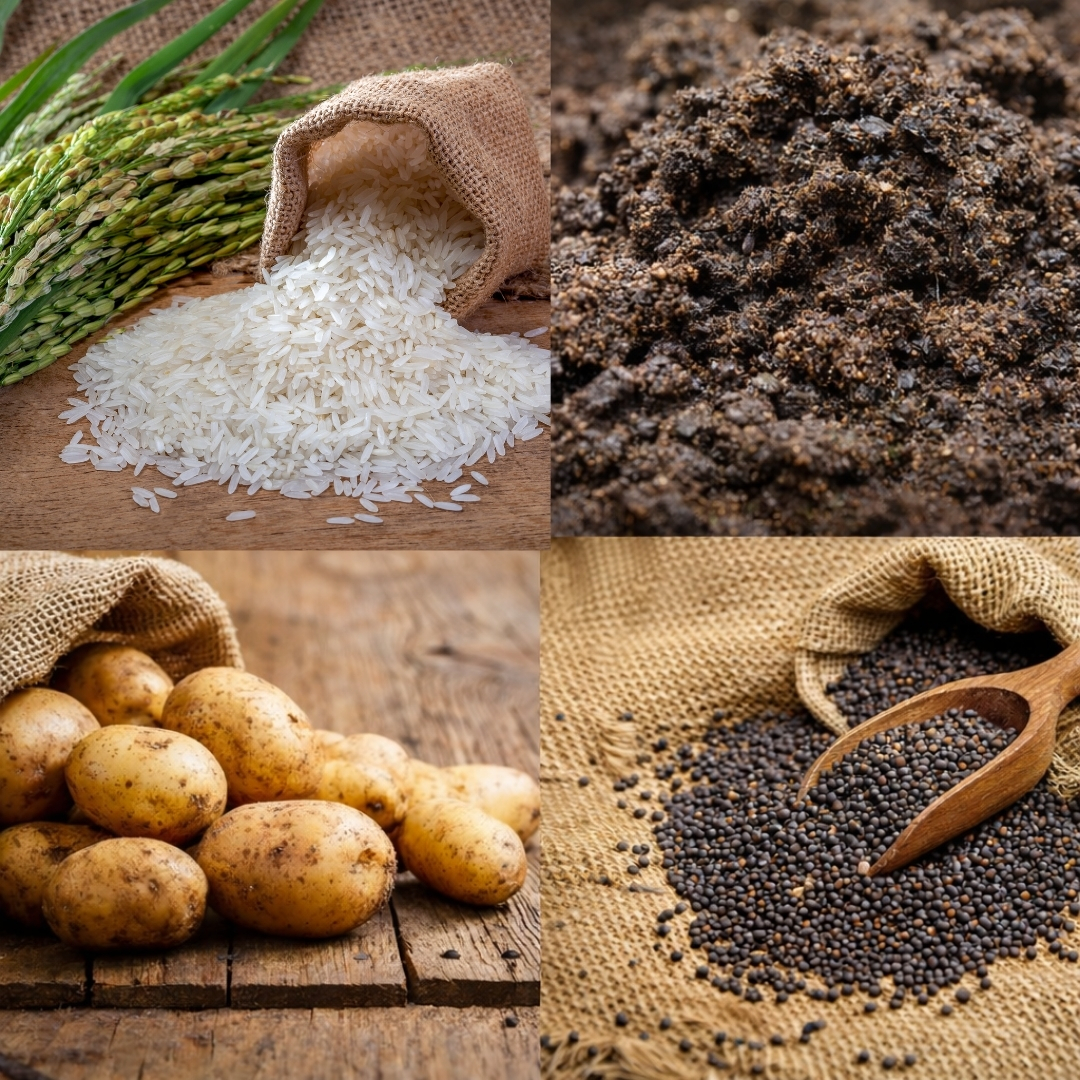 About Bhavani Enterprise